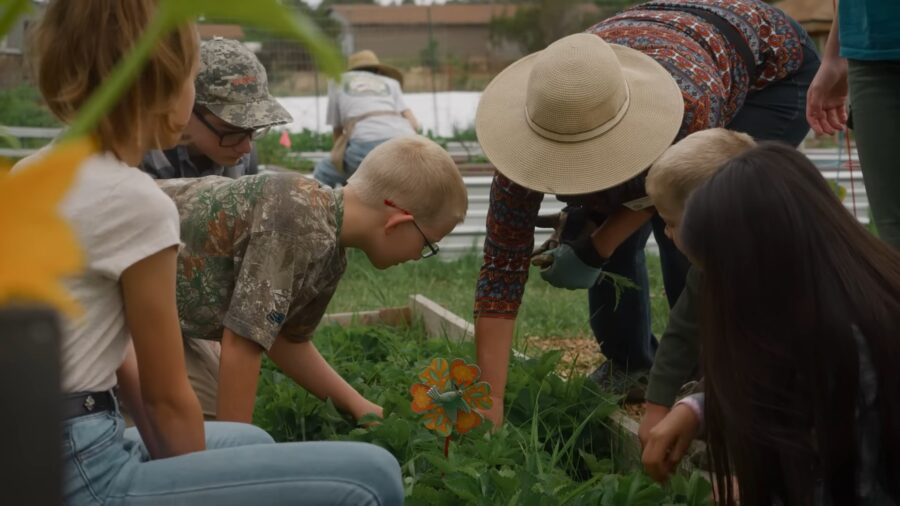 Community Gardening